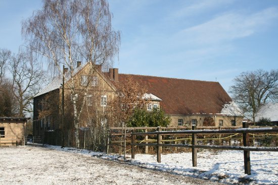 Winterimpression vom Hof Meckmann-Dorsel. Bild vom Hof